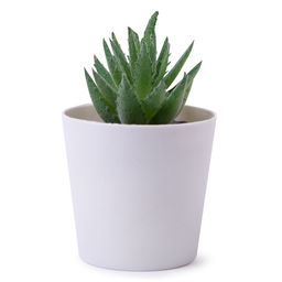 Искусственное растение Blumentag ATF-05 Растение искусственное в кашпо 6 х 10 см 1 шт. 01