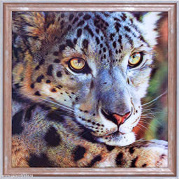 Картина 5D 40х40 144 / 2002B-012C /