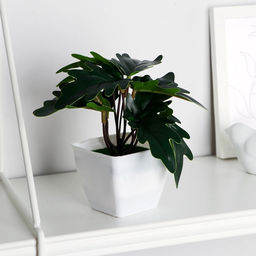 Искусственный цветок в горшке Филодендрон, 7?13 см