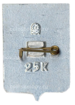 Значок Чебоксары