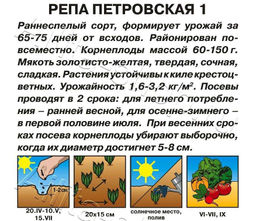 Репа Петровская 1г (Аэлита, серия Лидер)