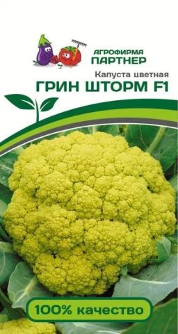 Капуста цветная Грин Шторм (зелено-желтый)
