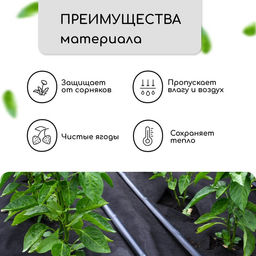 Материал мульчирующий, 10×3.2 м, плотность 60 г/м², спанбонд с УФ-стабилизатором, чёрный, Greengo, Эконом 30%