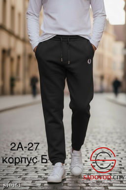 Мужские зимние спортивные штаны