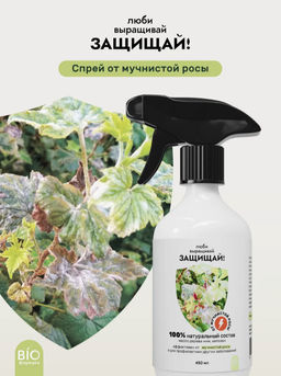 Спрей от мучнистой росы 450 мл