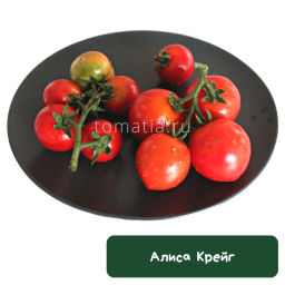 Алиса Крейг