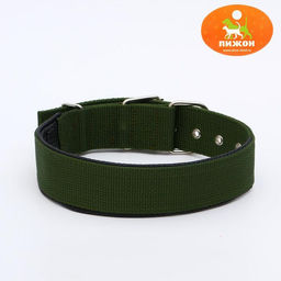 Ошейник Комфорт комбинированный, 60 х 4 см, ОШ 44-55 см, темно-зелёный