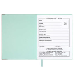 Дневник школьный арт. 68760 / 15 ПЛОНЖЕ МЯТНЫЙ