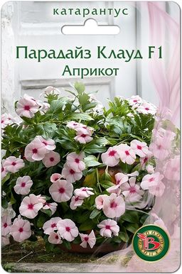 Катарантус Парадайс Клауд F1 Априкот