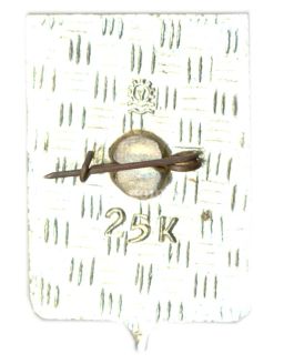 Значок Мончегорск