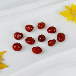 Галтовка из кирпичной Яшмы (10 шт)