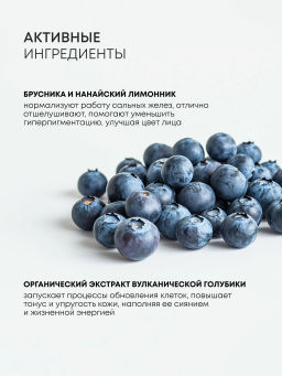 "NS" BLUEBERRY Скраб-джем д/лица "Обновляющий" 50мл
