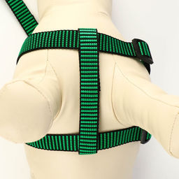 Комплект амуниции рельефный, поводок 120 х 2 см, ОГ 44-50 см, зелёно-чёрный - Пижон фото 5