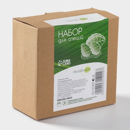 Набор фарфоровый для специй на бамбуковой подставке BellaTenero Листья, 4 предмета: солонка 120 мл, перечница 120 мл, салфетница, подставка, белый  фото 11