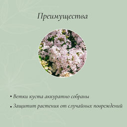 Цена за 2 шт. Кустодержатель для цветов, d=40 см, h=80 см, ножка d=1 см, металл, зелёный