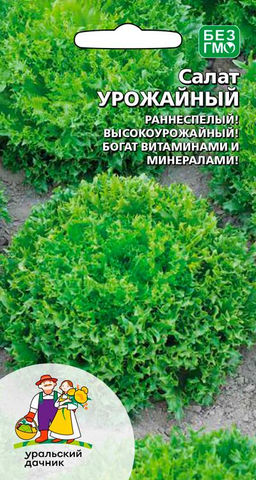 Салат УРОЖАЙНЫЙ  Обилие нежных, красивых, как молодой и задорный, кудрявый мальчишка листьев! Очень долго сохраняет свежий вид в холодильнике!