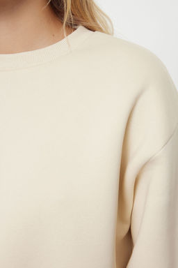 Tas Kal?n Ici Polarl? Regular/Normal Kal?p Bisiklet Yaka Basic Orme Sweatshirt TWOAW24SW00101