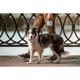 Рулетка Лапа, 5 м, до 35 кг, принт цветы - Пижон фото 13