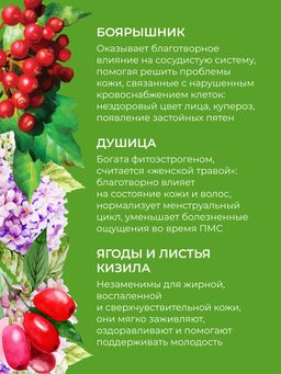 Травяной чай Источник красоты и молодости с софорой японской и душицей - Siberina фото 7