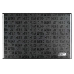 Цена за 2 шт.Папка для школьных тетрадей пластиковая Феникс+, арт. 69303/ 12 ЧУДНАЯ КАПИБАРА