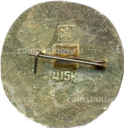 Значок Золотое Кольцо Муром