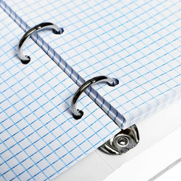 Тетрадь на кольцах, в клетку, 80 листов Аниме, пластиковая обложка, блок офсет - Calligrata фото 5