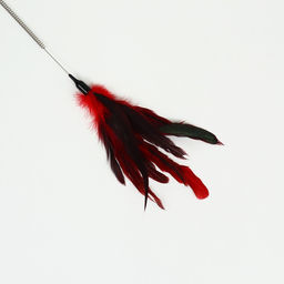 Дразнилка с перьями и 2 метал. бубенчиками и двойной ручкой (жёсткая/гибкая), 60 см, микс - Пижон фото 3