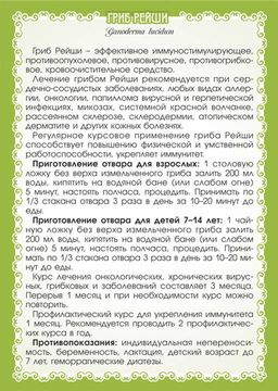 Гриб Рейши (трутовик лакированный) - Мариславна фото 4