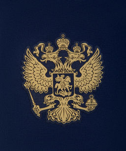 Шорты тренировочные JOGEL NATIONAL PerFormDRY Training Shorts, темно-синий  фото 6