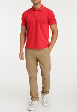 Джемпер мужской с воротником поло короткий рукав GREG G144-TS-3 (красный)  фото 3