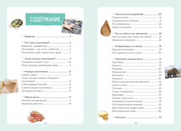 Древний мир. Бальзо А. - Махаон фото 2