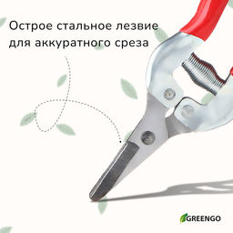 Ножницы садовые, 7 (18 см), с металлическими ручками, обрезиненная ручка, красные, Greengo фото 2
