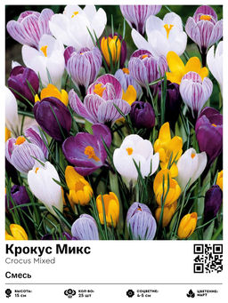 Крокус Микс (Смесь)