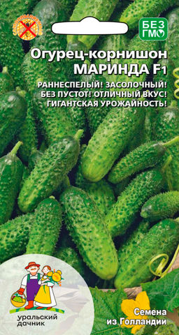 Огурец МАРИНДА F1 Раннеспелый, засолочный с отличным вкусом! Гигантская урожайность!