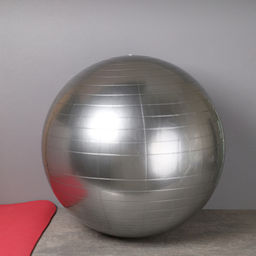 Мяч гимнастический 65см / FB65-GR / насос + игла / Серый / уп 30 шт - Галеонтрейд фото 2