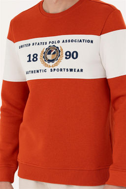 Мужской свитшот с плиткой Неожиданная скидка в корзине - U.s. polo assn фото 6