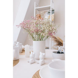 Набор для специй Доляна «Стильный мишка», 2 предмета: солонка 30 мл, перечница 30 мл, белый