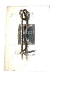 Значок Сыктывкар