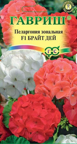 Пеларгония Брайт дей F1 зональная 4шт (г)