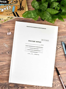 Классный журнал 10-11 класс арт. 5193