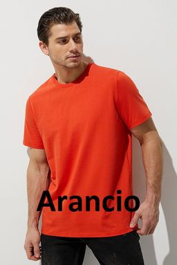 OmT_U 1201 Фуфайка (футболка) мужская, CO - grafite - Omsa фото 4