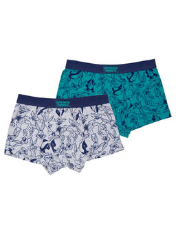 22437651 Трусы для мальчиков - брифы, 2 шт в комплекте