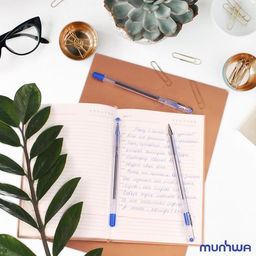 Цена за 11 шт. Ручка шариковая MunHwa Option, узел 0.5 мм, стержень синий