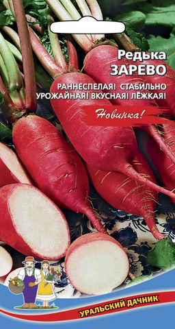 Редька ЗАРЕВО  Раннеспелая! Стабильно урожайная! Вкусная! Лёжкая!
