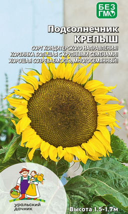Подсолнечник КРЕПЫШ Сорт кондитерского направления! Корзинка большая с крупными семенами! Хорошая созреваемость, многосемянный!