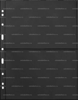 Лист для банкнот на 2 ячейки формат Grande 2S Черный LEUCHTTURM 324690
