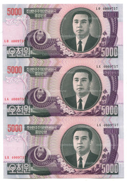 Банкнота 5000 вон 2006 года Северная Корея Лист из трех банкнот