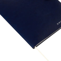 Дневник школьный для 1-11 классов Favorite, мягкая обложка, на кнопке, искусственная кожа, тиснение фольгой, хлястик, ляссе, 48 листов