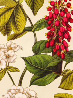 Цена за 4 шт. Пакет подарочный ламинированный Ботанический сад 11.5?14.5?6.5 см