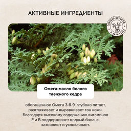 Крем-баттер для тела ночной Интенсивное питание, 300 мл / Natura Siberica / Doctor Taiga  фото 5